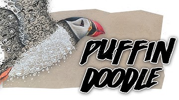 PUFFIN DOODLE | B&W Series Timelapse Drawing