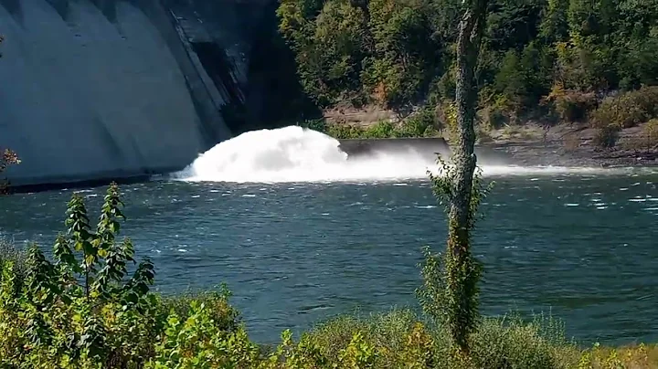 Wolf Creek Dam (Purpose of the sleuse)