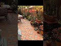 Small Garden Fresh Designs 🌿 | Green &amp; Clean Ideas