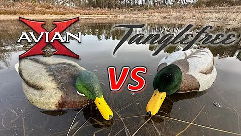 NEW Decoys for the Opener | Tanglefree vs. Avian-X Mallards Unboxing