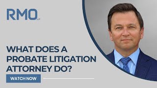 What Does A Probate Litigation Lawyer Do? 