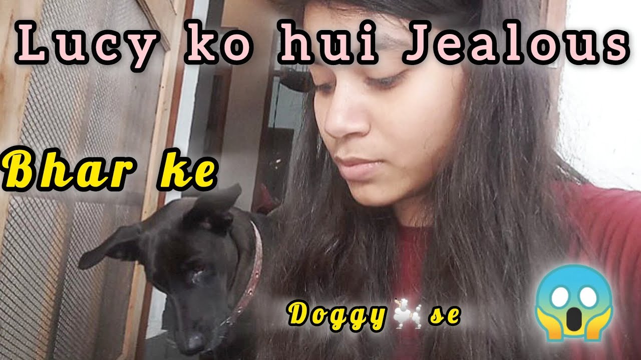 Lucy ko hui Jealous 😱 | Bhar ke doggy se