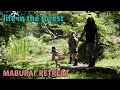 マコモの収穫 チェーンソー製材 ジビエ焚火料理 山暮らし 田舎暮らし chainsaw milling selfsufficient forestlife English subs