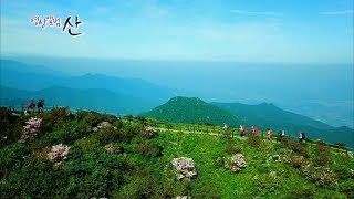 180624 영상앨범산 예고 ㅣ KBS방송