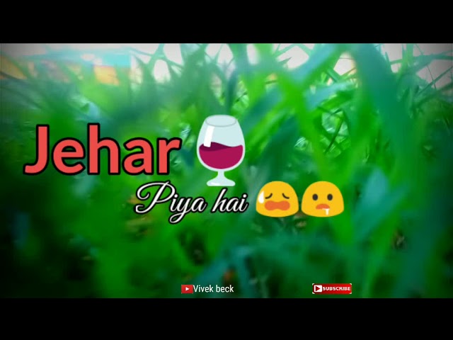 Koi puche mere dil❤️se... Ksise a jehar piya🍷 hai