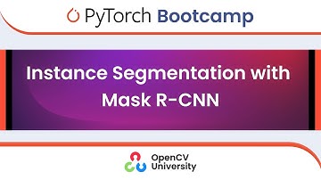 Pytorch Bootcamp for Beginners - 9 | Instance Segmentation with Mask RCNN