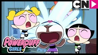 Блисс | Суперкрошки | Месть комара | Cartoon Network