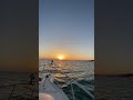 Сочи, море, яхта. #купить #апартаменты #сочи #beach #sunrise #инвестиции #недвижимость