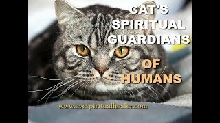 Cat's Spiritual Guardians Of Humans