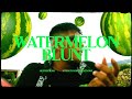 Slypher kro  watermelon blunt prod guarar on da beat vdeo oficial