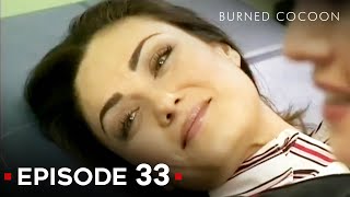 Burned Cocoon Episode 33 | English Subtitle