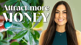 How to Make a Money Corner | Increase Abundance and Wealth!