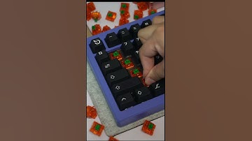 C3 Equalz Tangerines | GOATED OG Linear Switches