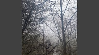 Download Lagu Silent Hill 3 Mall Scene MP3