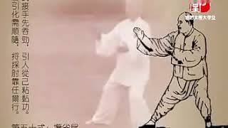 KOU-楊式太極拳85式(扎西) /楊 澄甫写真参照