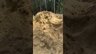 Maltipoo Dog Digs Sand Pile During Construction Work - 1505869