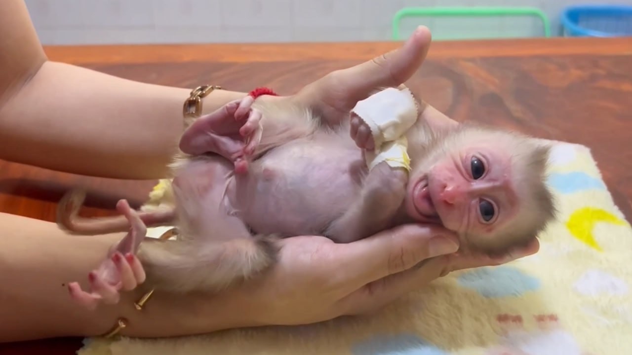 Both PainFully eyes Yuri Showing Mom She Was Hungry Lately