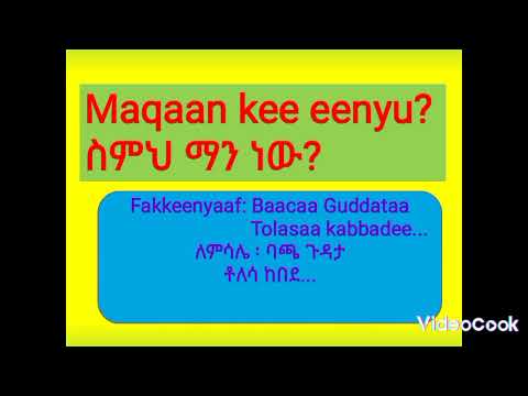 Learn Afaan Oromoo Language Sentences In Amharic Part 1 Miiltoo Tube