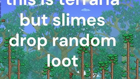 Terraria but slimes drop random items