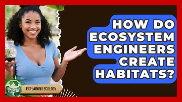 How Do Ecosystem Engineers Create Habitats? - Explaining Ecology