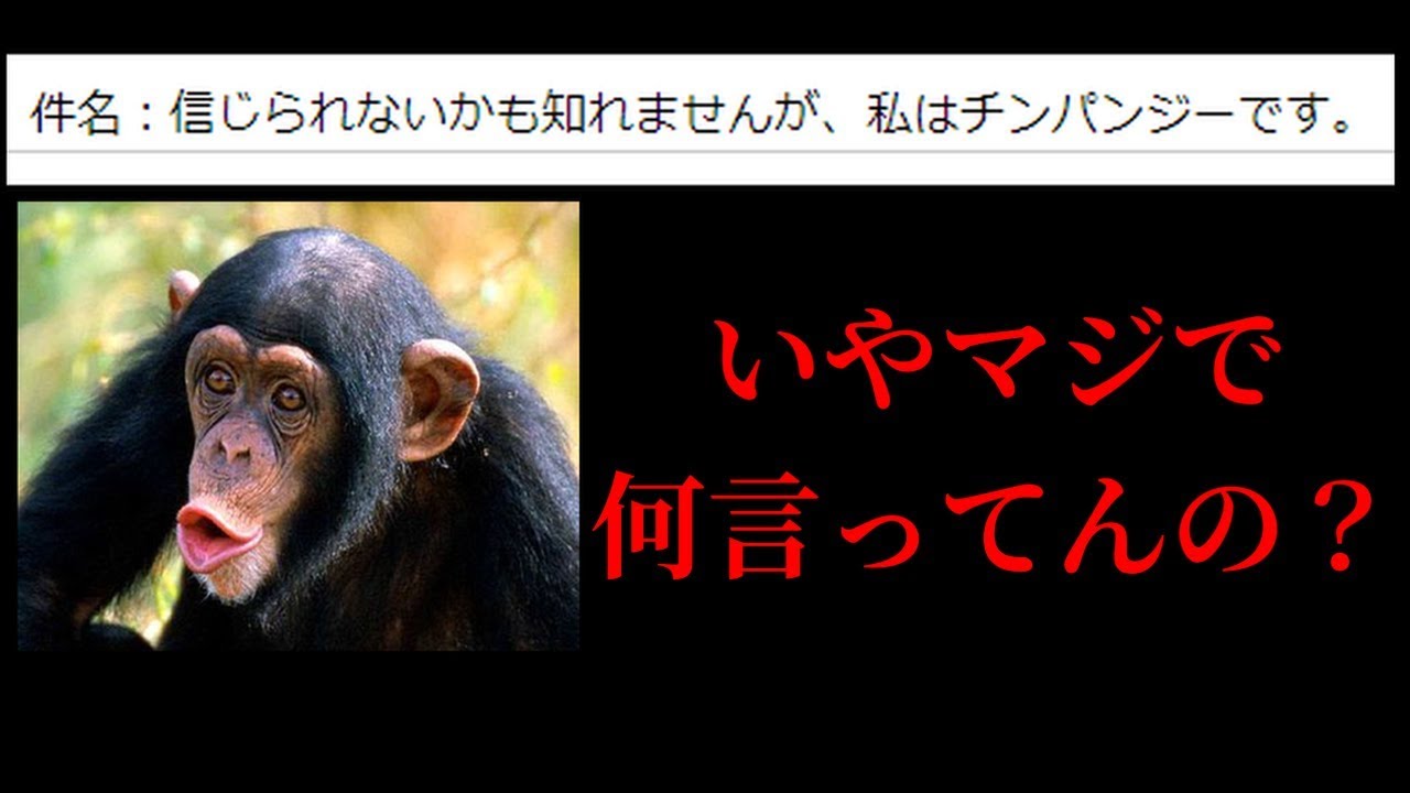 衝撃 最近の迷惑メールがツッコミどころ満載過ぎたｗｗｗ Youtube