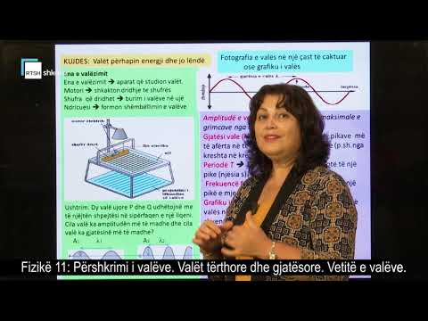 Video: Teoria E Valëve: Nga çfarë Përbëhet E Gjitha