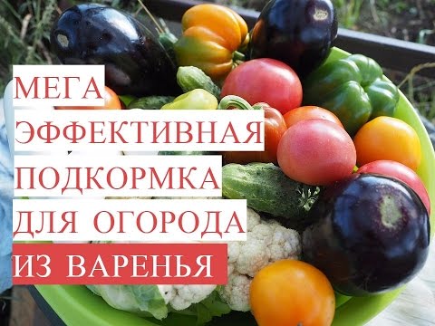 Мега Эффективная Подкормка для Огорода из ВАРЕНЬЯ! Байкал из Варенья!