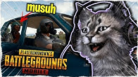 Unduh 7800 Koleksi Gambar Ebbo Kucing Paling Baru Gratis HD