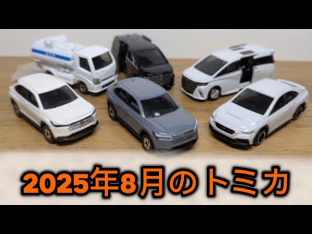 ⭐︎Jiwonさん専用⭐︎トミカ　まとめ売り Breaking news! The new products for March 2021 have been