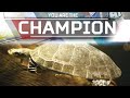 CHAMPION TURTLE | Apex Legends