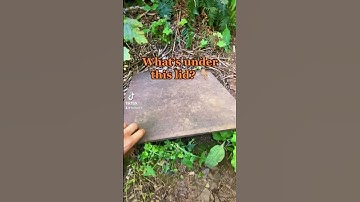 20+ years later, 3 MILLION+ caches are hidden in the WORLD! Do you know where the first was hidden?