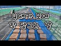 4대가 모여 장담그는날 [염소엄마의 시골생활]
