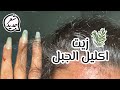 جربت زيت اكليل الجبل لعشرة اسابيع نتيجة غير متوقعة 