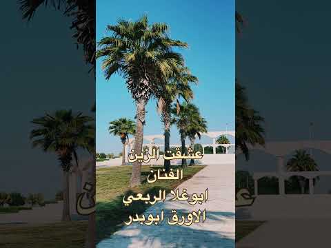 الفنان ابوغلا الربعي عشقت الزين 