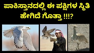 ಪಾಕಿಸ್ತಾನದಲ್ಲಿ ಈ ಪಕ್ಷಿಗಳ ಸ್ಥಿತಿ ಹೇಗಿದೆ ಗೊತ್ತಾ !!? Falconry info in Kannada