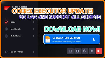 CodeX Mobile Executor New Update Released | New Mobile Executor | CodeX Executor Latest Version