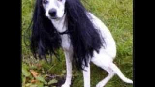 Ayo Ngising - Jahanam