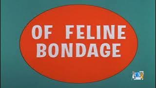 Of Feline Bondage (1965) Intro on TV Plus 7 [08/21/21]