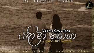 Yali Ma Soya Enna (යලි මා සොයා එන්න)-Pradeepa Krishani ▏Slowed and Reverb ▏@SL_Denuwah_Music_YT