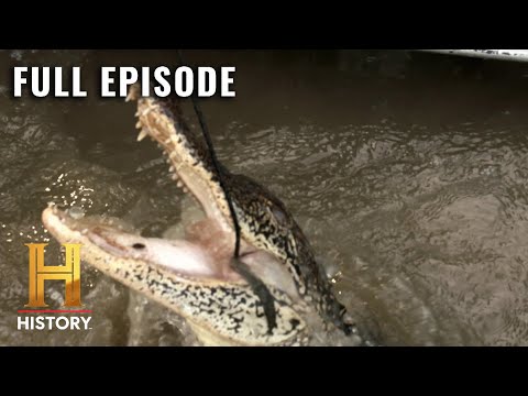 Swamp People: GATOR GRUDGE MATCH (S12, E16) | Full Episode