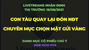 Chứng khoán hôm nay/ Nhận định 18/08/2021: Con tàu quay lại đón NĐT - Chuyên mục chọn mặt gửi vàng