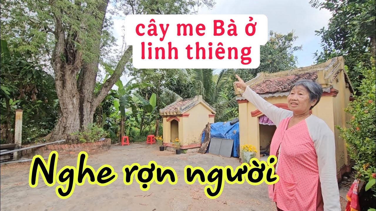 Rợn người cậu bé 14T mất vì vô tình làm rách áo Bà ở trên cây me cổ thụ