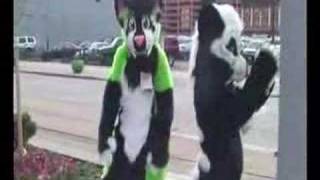 Rocky Mountain Fur Con 2008