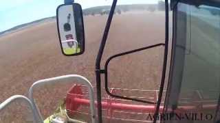 Cosecha Cereal 2014 // Harvest 2014 [Claas, John Deere, Massey Ferguson]