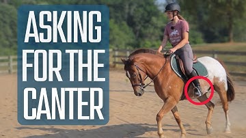 Hoe je om de galop vraagt ​​(EENVOUDIGE STAP-VOOR-STAP GIDS)