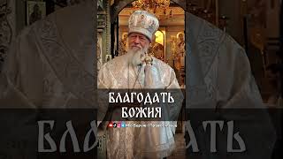 Благодать Божия | еп. Августин (Анисимов)