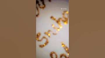 Sneha name calligraphy/comment your name for next calligraphy video/glittering calligraphy/colourful