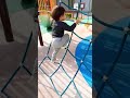 Shorts 爬爬爬 シャープ Shorts 爬爬爬 シャープ