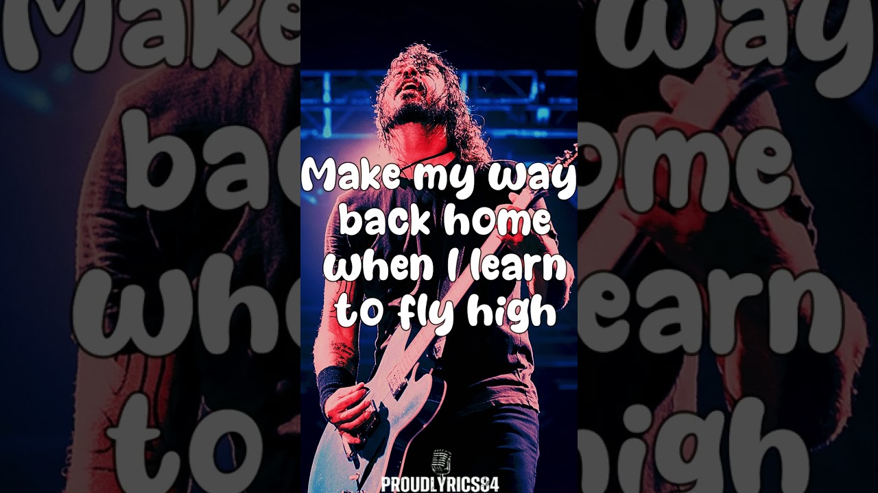 music foo fighter official dave grohl foo fighters,foo fighters learn to  fly band,foo fighters vevo mentos foo fighters,everlong foo fighters,music  lyrics foo fighters my hero band,world tour  Sticker for Sale by  anjanettecala