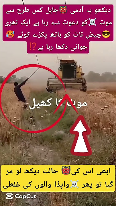 just Allah sy mango #live TikTok #trending #funny #arynews #shortvideos #@